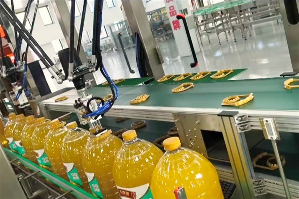 1.packing solution 1.packing solution